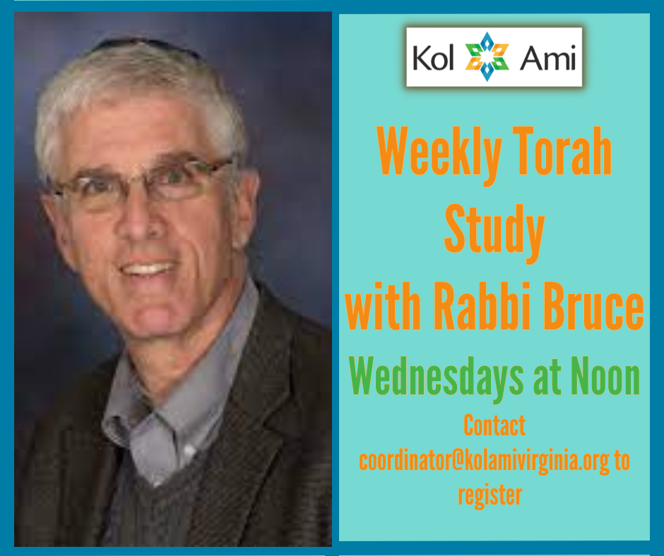 Weekly Torah Study